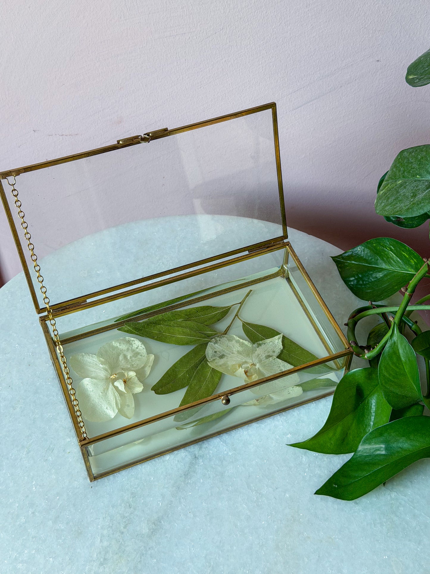Pressed Botanical Display Box — Orchard White