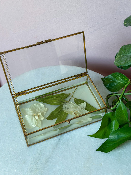 Pressed Botanical Display Box — Orchard White