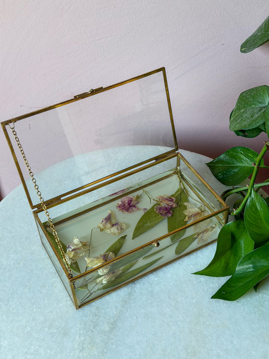 Pressed Botanical Display Box — Sweet Pea